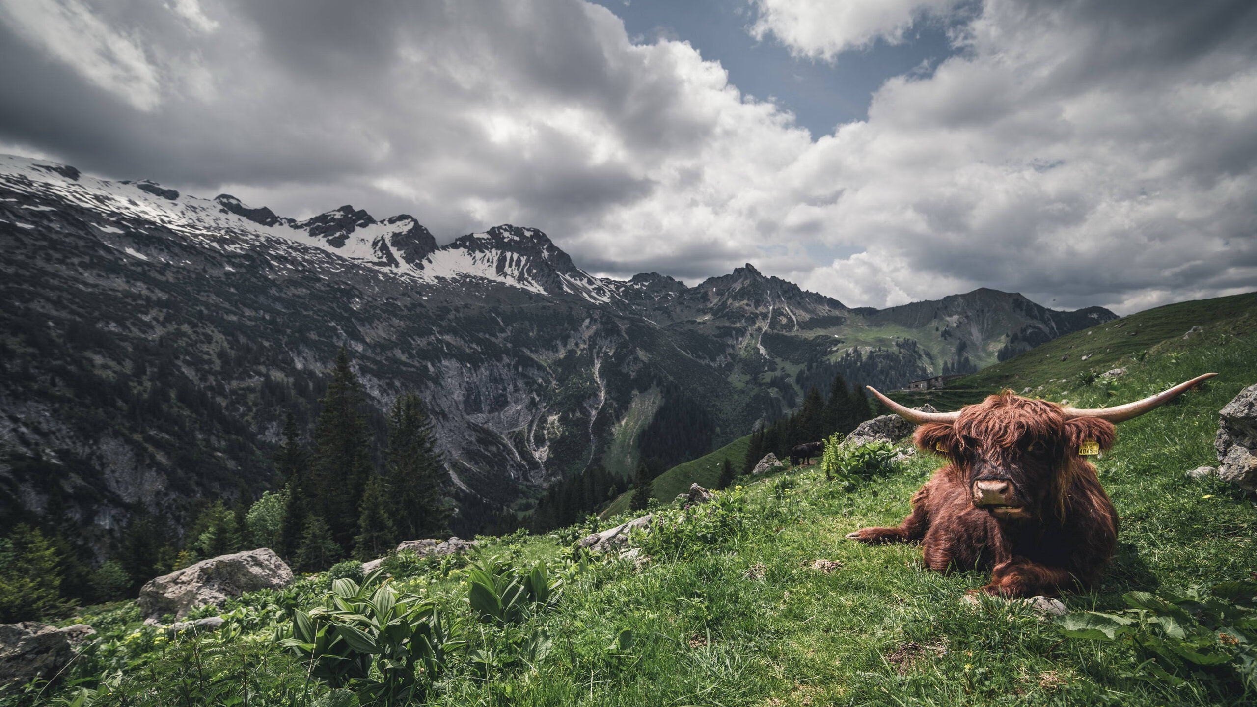 今晚,杜兰特把油门踩到底