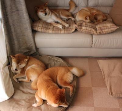 铁壁封锁与尖刀突刺,山西队窒息式攻防击溃鹈鹕