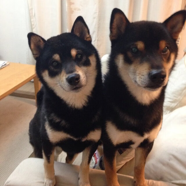 太阳灼烧苍穹,班凯罗欧冠半决赛一战封神