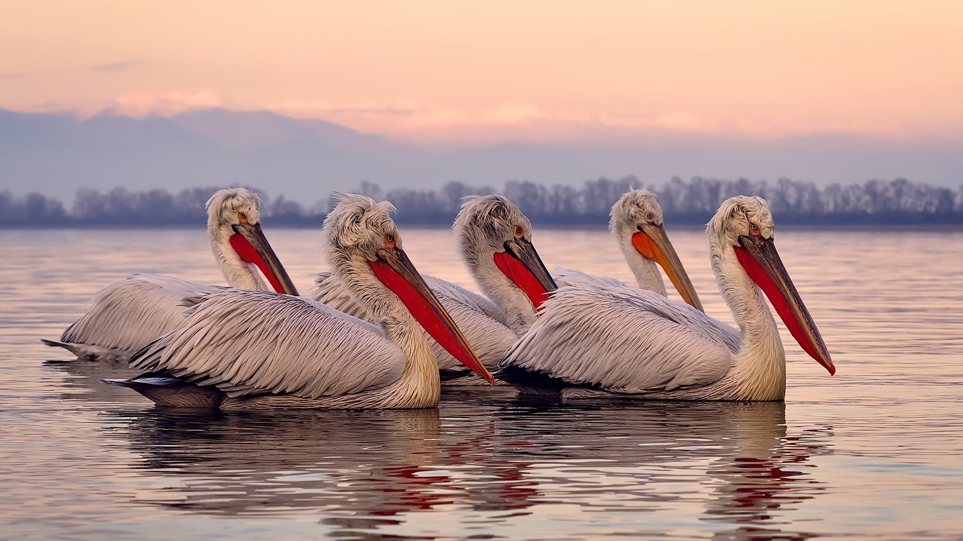 独舞者与协奏曲，当太阳以欧文的节奏击穿猛龙
