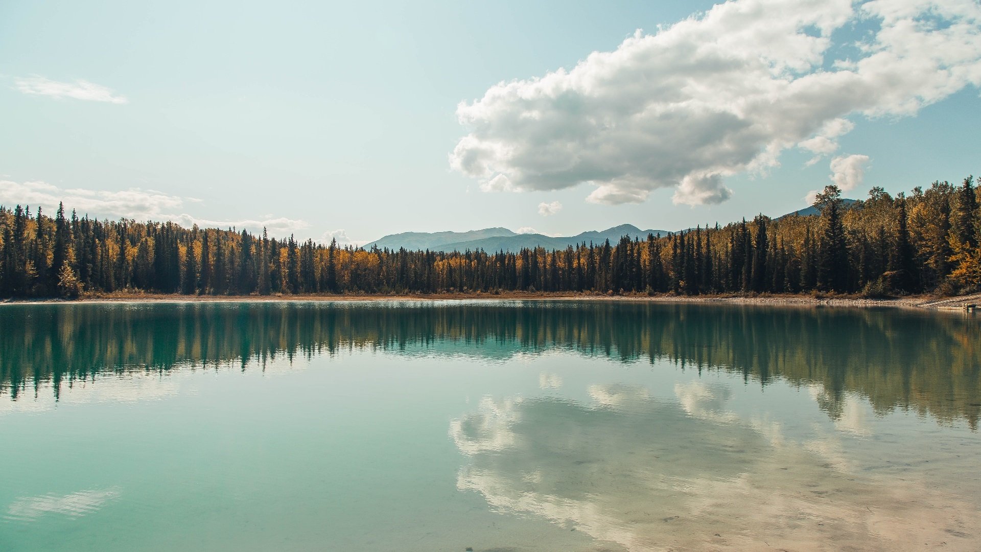 审判之夜,当巴雷拉在抢七的祭坛上献祭整条防线