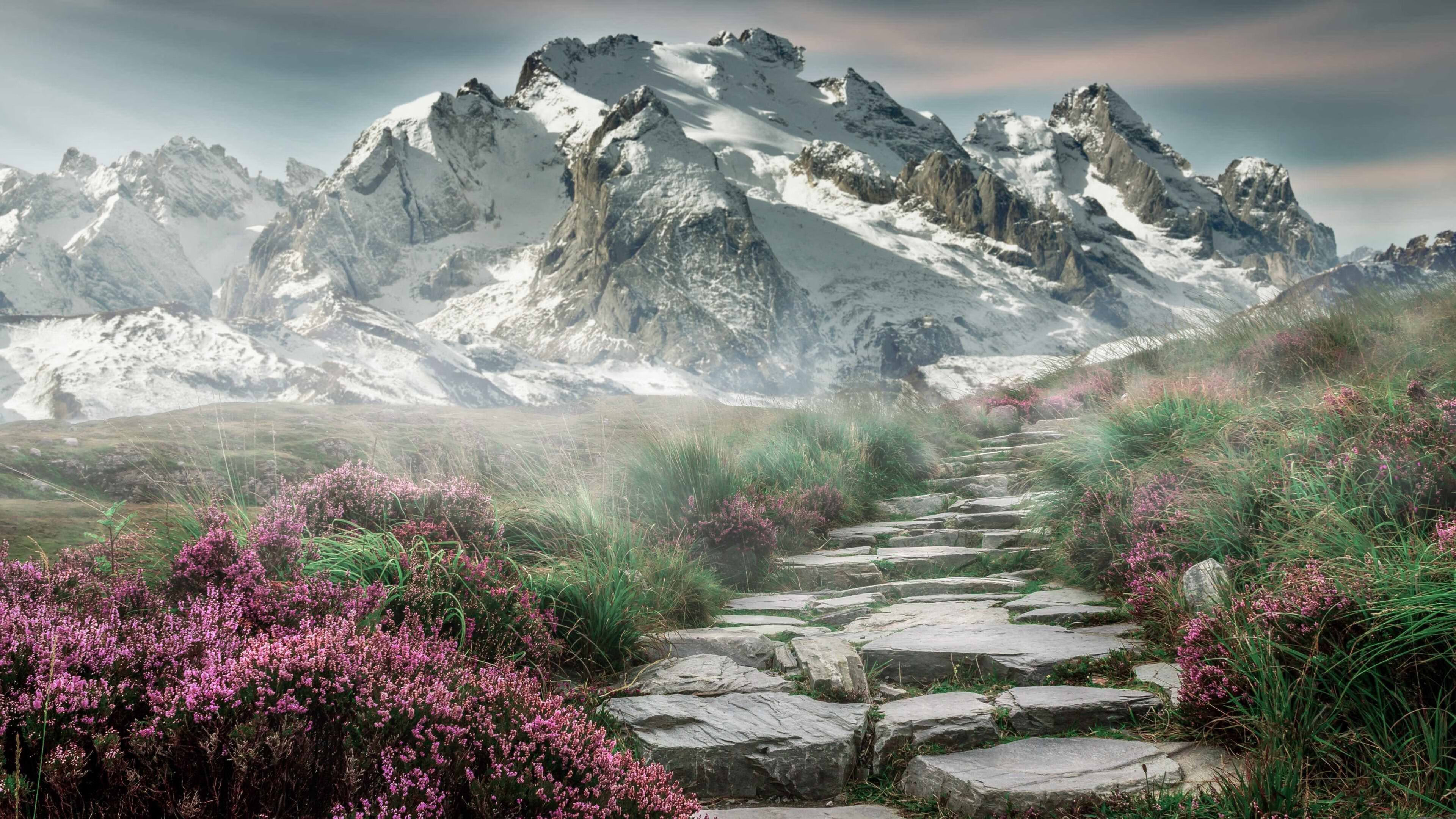 宿命重现,凯尔特人12年后再演剧本,这次布伦森改写结局