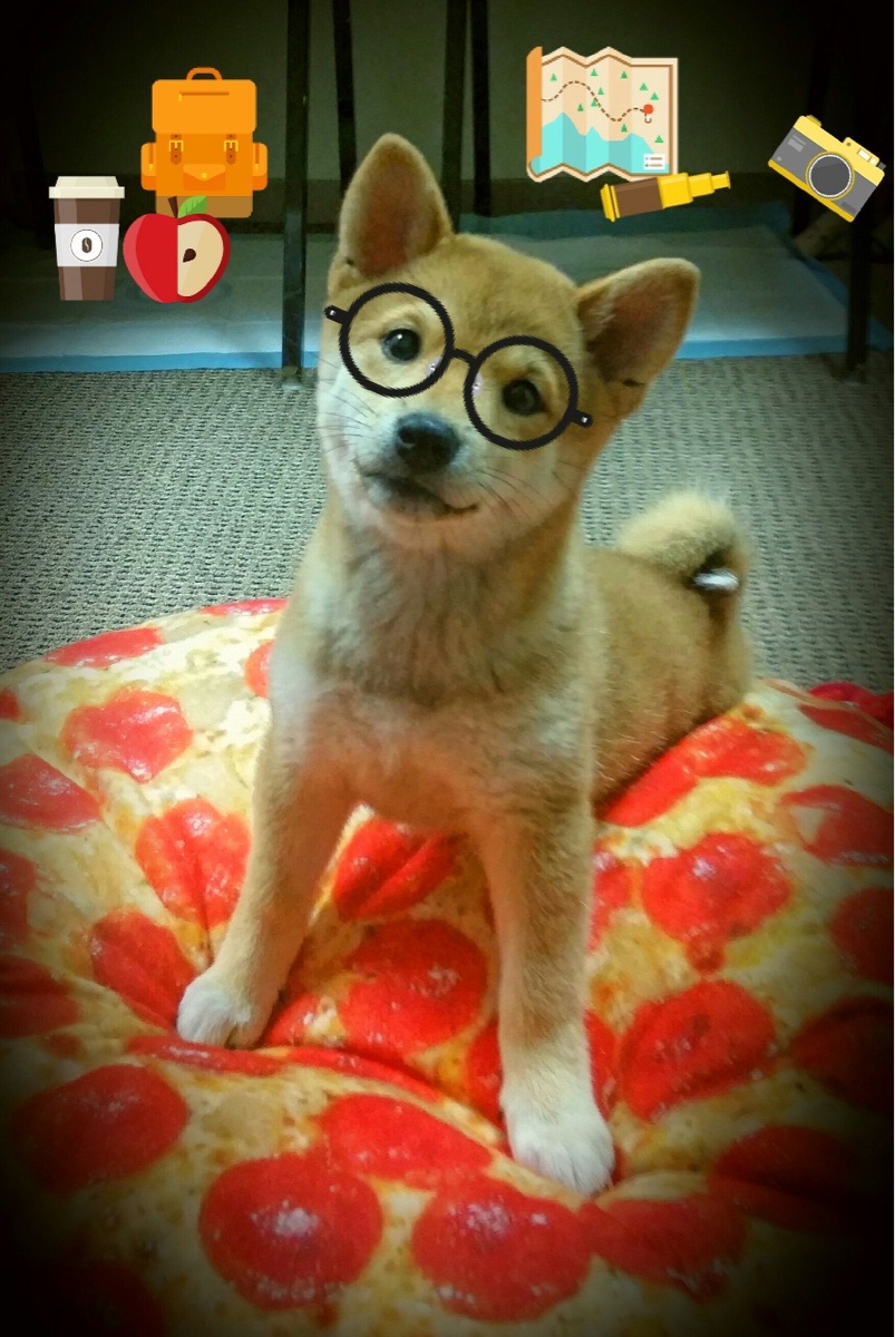 东亚德比见证防守艺术,楚阿梅尼铁闸镇关,韩国战术完胜日本