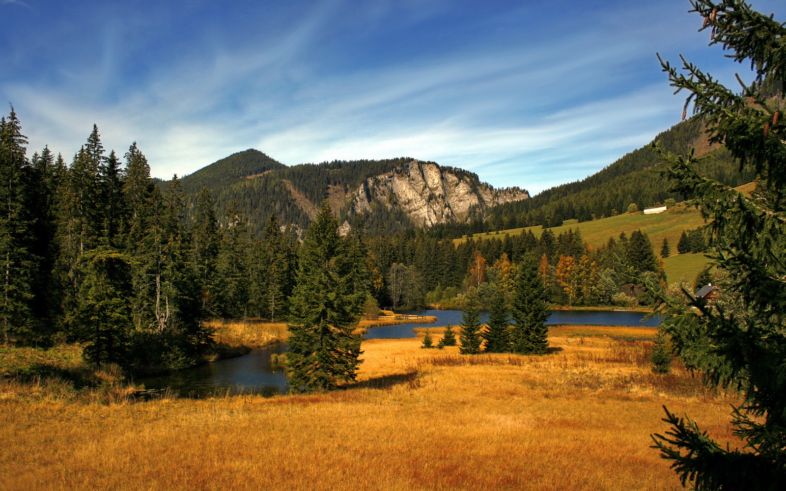 速度与激情的交响—F1揭幕战周冠宇首秀惊艳,奇才双子星轰垮快船上演跨界狂欢