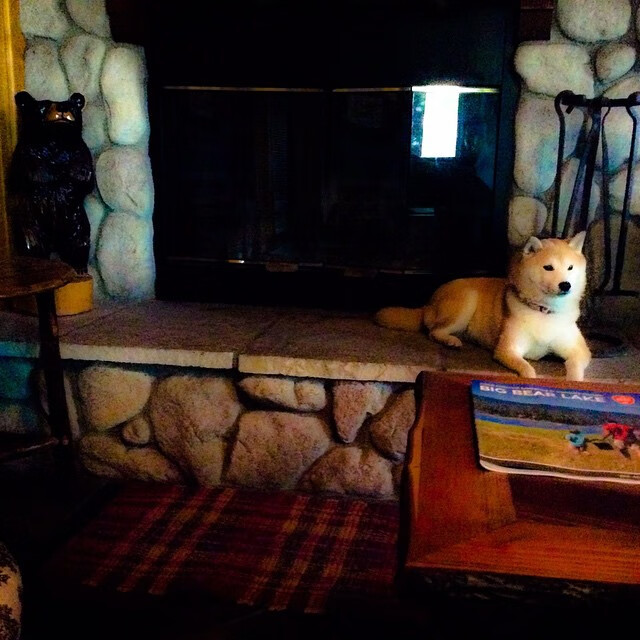 卡塔尔火力压制罗马，贝林厄姆关键进球定乾坤