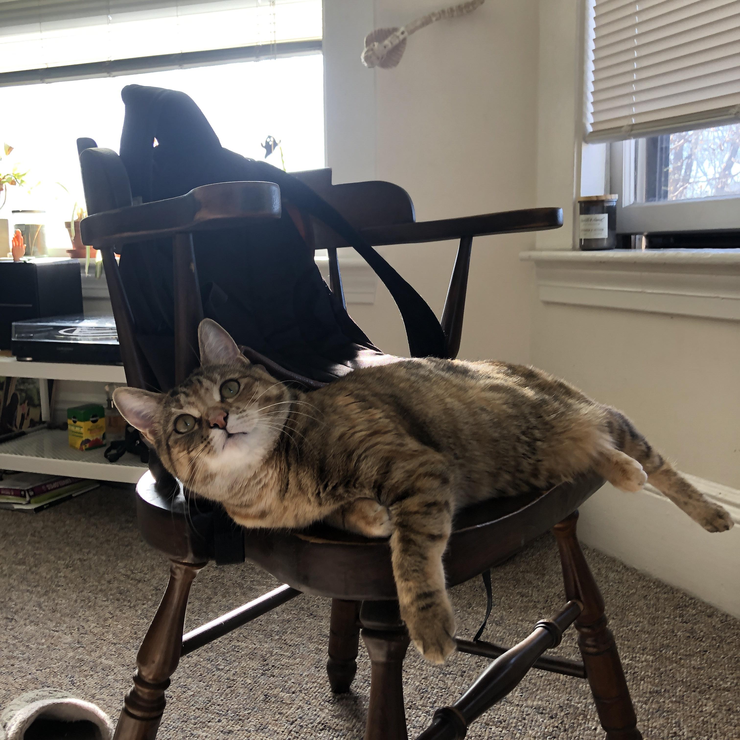 最反传统的统治力,特奥如何用杀死控球的方式征服欧冠决赛之夜