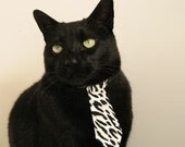 浴血之战,苏格兰绝境逆袭,年度焦点战碾碎威尔士