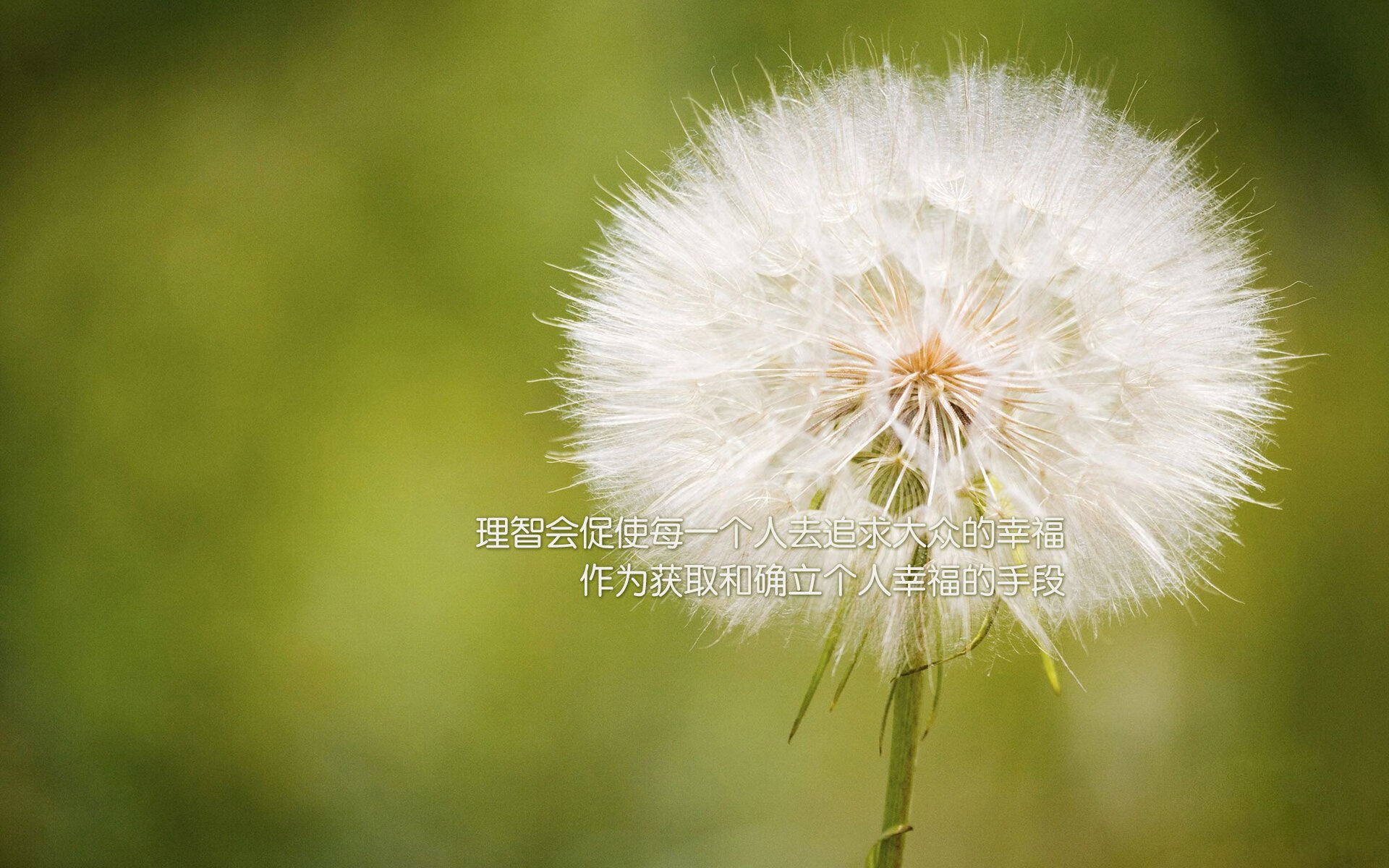 绿衫军力克凤凰城！拉文末节15分化身关键先生