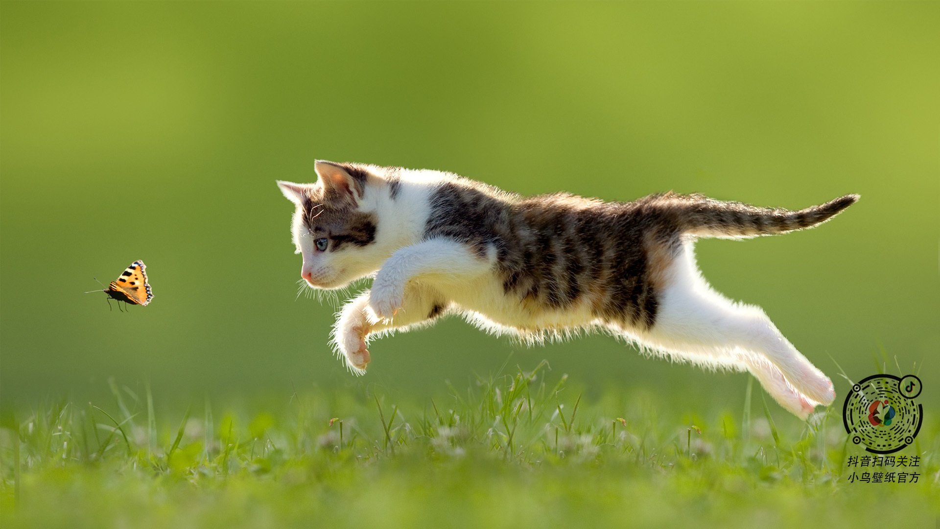 拉文铸就传奇一夜，年度焦点之战中的教科书级表演