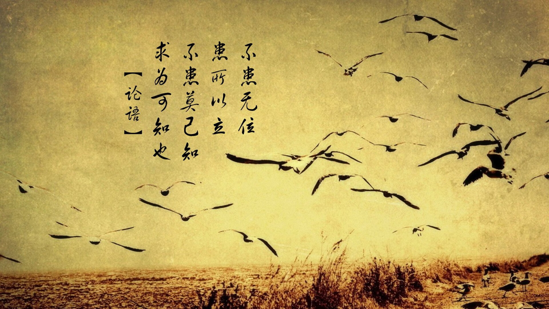 铁幕与疾风,2026世界杯D组,当亚洲的压制遇上欧洲的高墙,库尔图瓦与防守反击织就的致命旋律