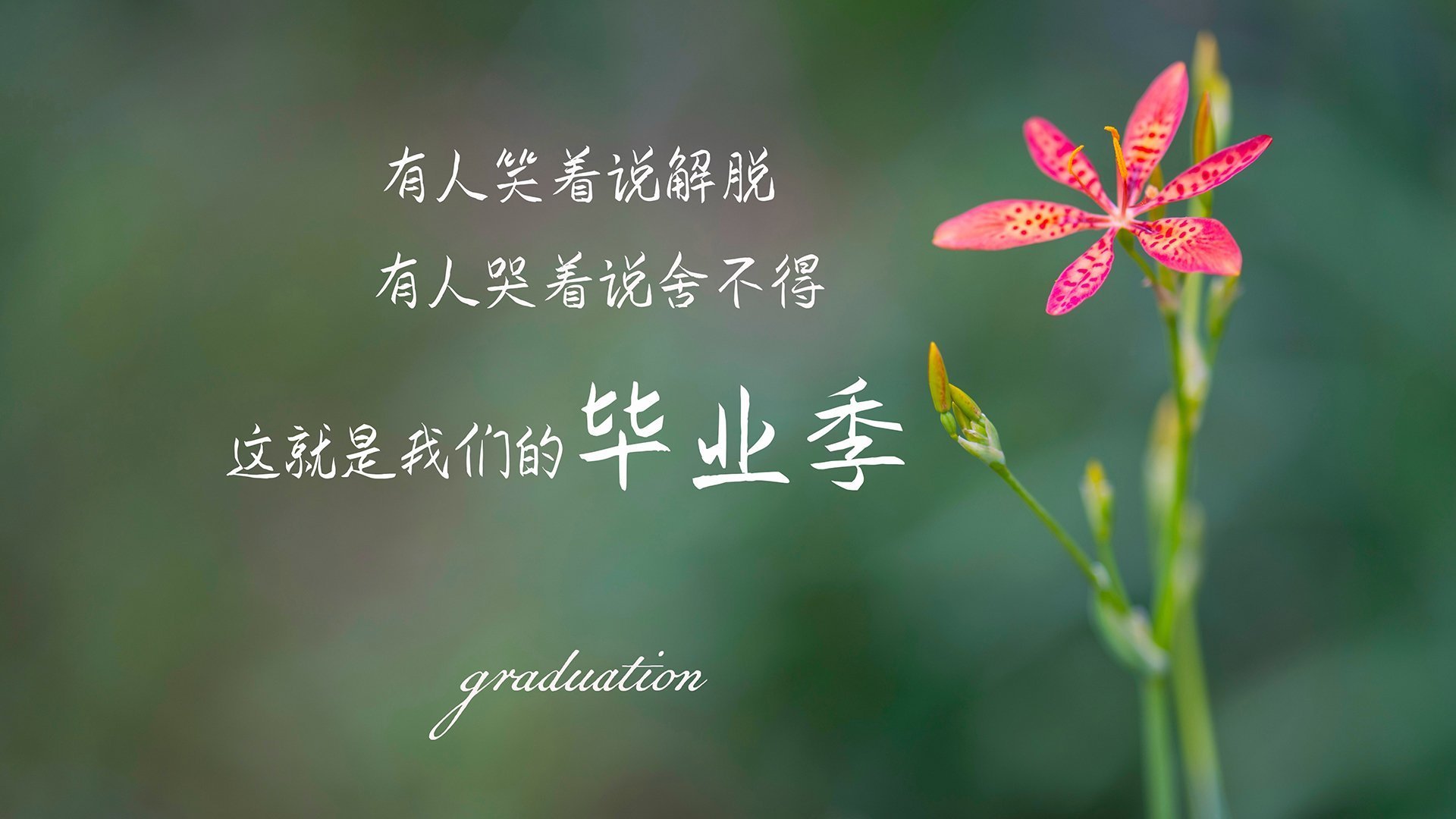 血色浪漫,2026世界杯A组,库尔图瓦的致命一击与哥斯达黎加的不朽童话