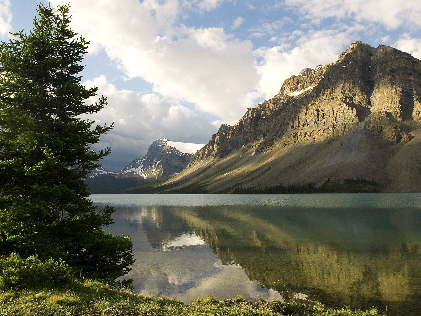 星月之夜，穆西亚拉用一记彩虹撕开2026，突尼斯让斯洛伐克沦为揭幕战背景板