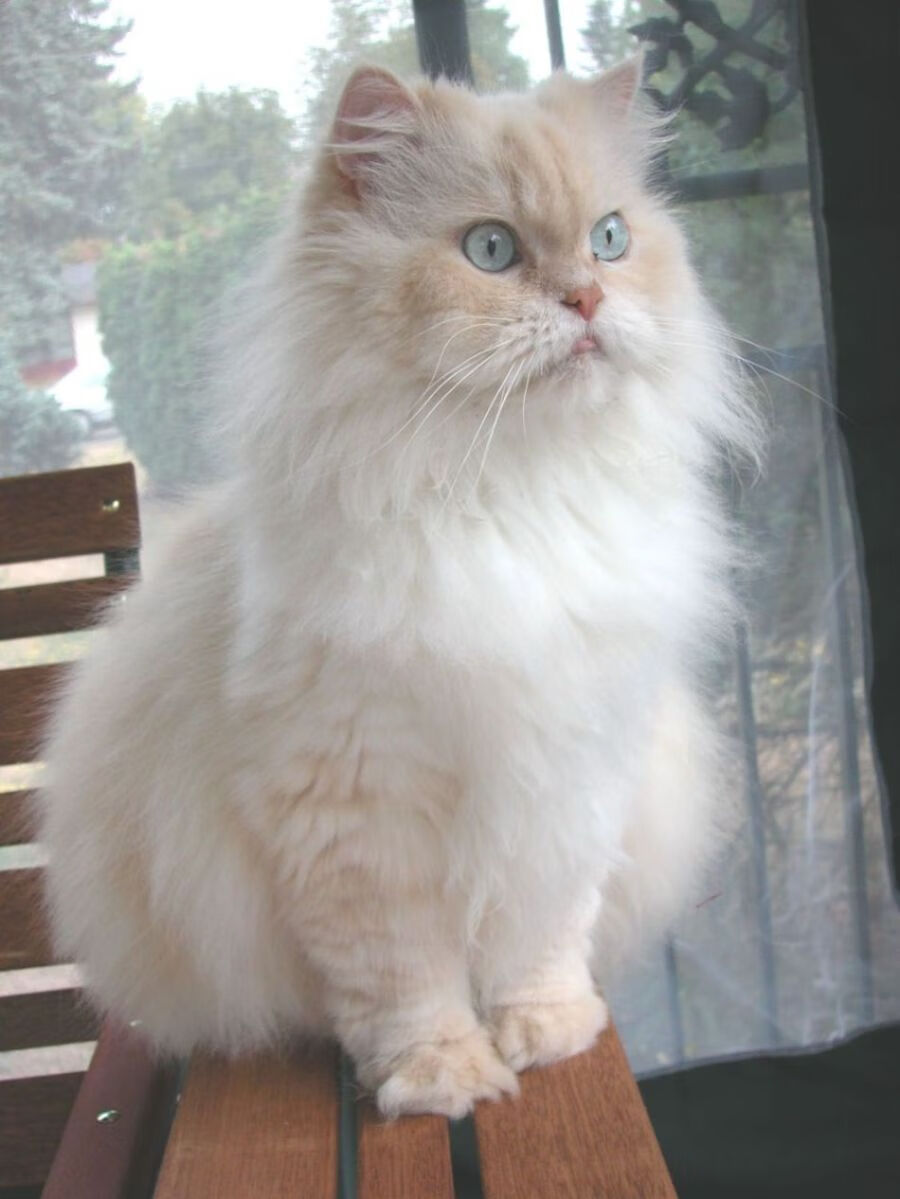 奇迹美梦,当山姆大叔的铁蹄踏碎潘帕斯雄鹰—2026世界杯F组,哈基米领衔的钢铁防线如何凿穿阿根廷