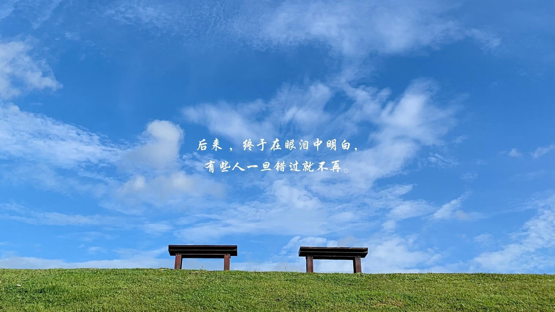 蓝衣军团的逆转密码，费利克斯如何用临场魔法改写2026世界杯F组命运